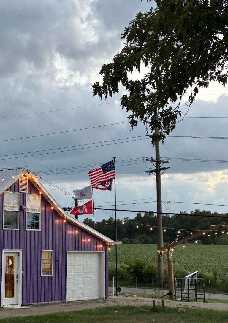 A purple barn strung with lights at dusk, flags flying beside it and a green field behind