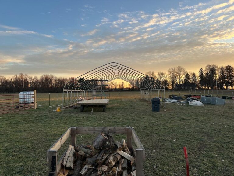 The steel frame of a new hoop house on the farm under a glowing winter sunset